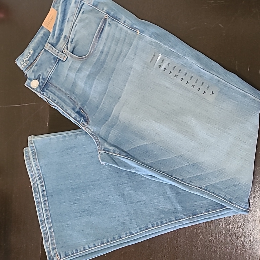 American Eagle Outfitters BoHo Artist Low Rise Jeans Size 18 Long